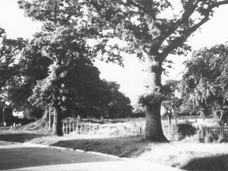 Comptons Lane, Horsham