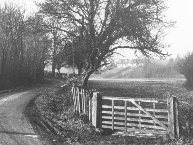 Blackbridge Lane, Horsham