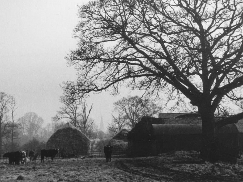 Needles Farm, Horsham