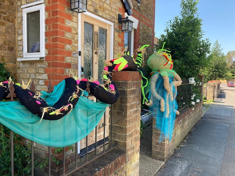 Canal Creatures- most entertaining winner