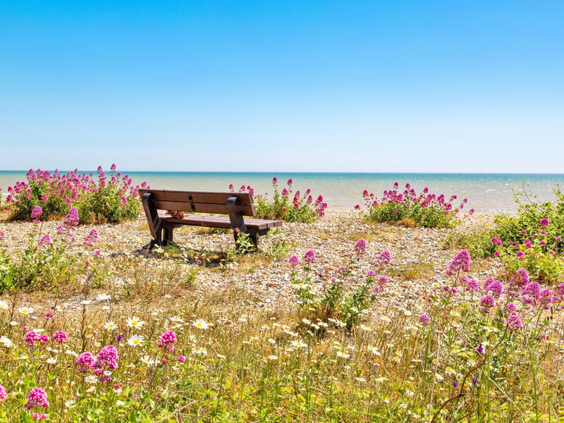 Pevensey Bay at low tide is a great place for an uninterrupted stroll along the sands and some castle-making. Pic by Barry Davis