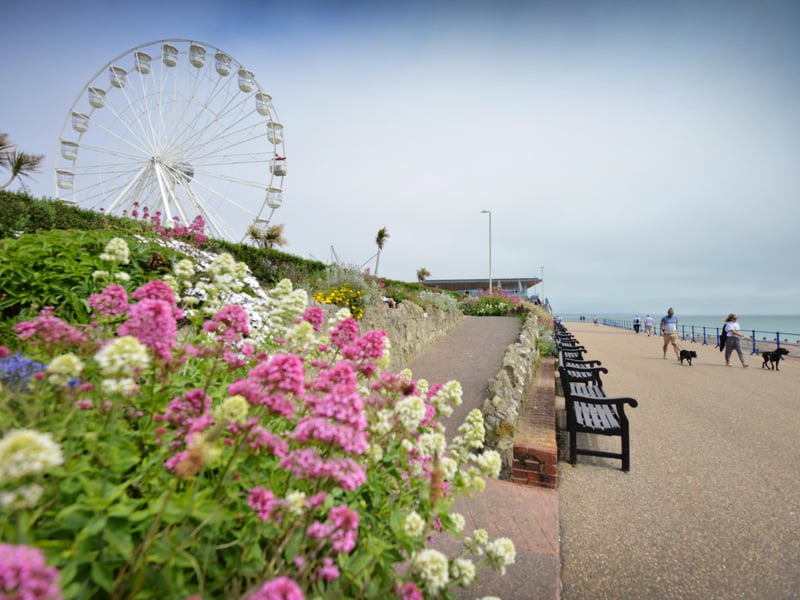 Take a trip on Eastbourne wheel and see the town from a different perspective. A hit with all ages