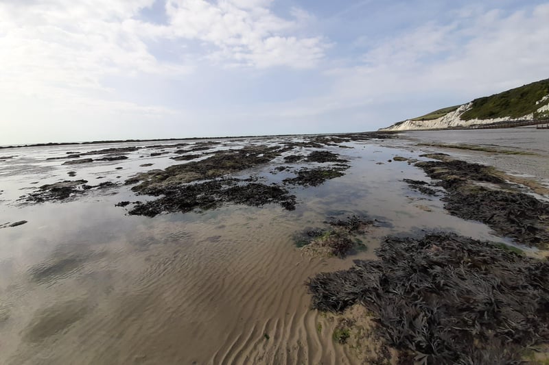 Holywell is a great place for rockpooling at low tide. Google the tide times and see what interesting sea life you can find. Pic by Elena Riva