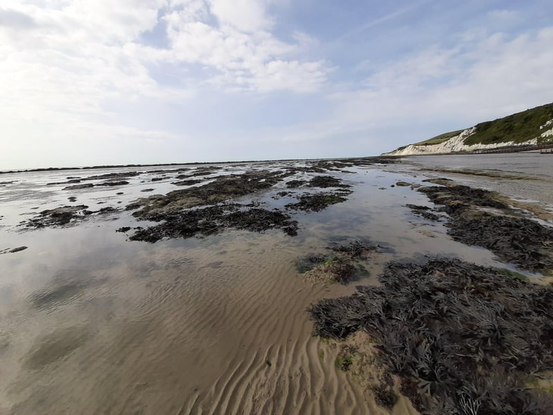 Holywell is a great place for rockpooling at low tide. Google the tide times and see what interesting sea life you can find. Pic by Elena Riva