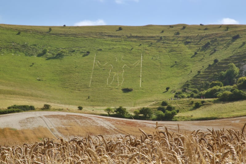 The Long Man of The Long Man of Wilmington - Pack up a picnic and take a walk up the South Downs to visit the impressive hill figure. Pic by Barry Davis
