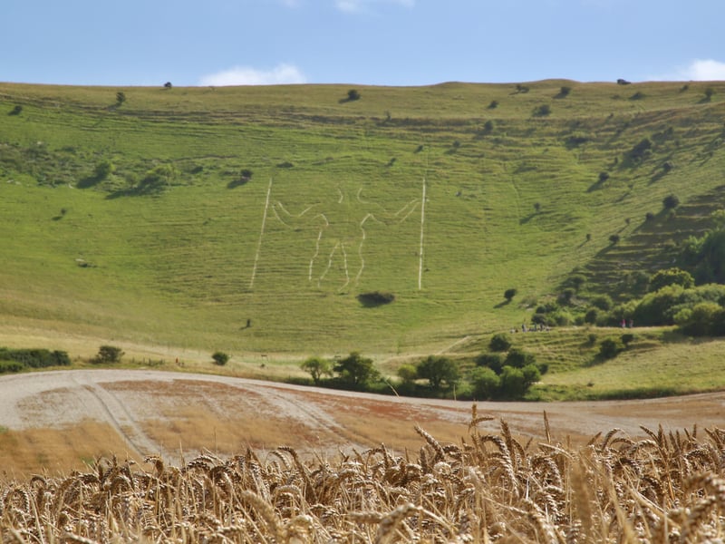 The Long Man of The Long Man of Wilmington - Pack up a picnic and take a walk up the South Downs to visit the impressive hill figure. Pic by Barry Davis