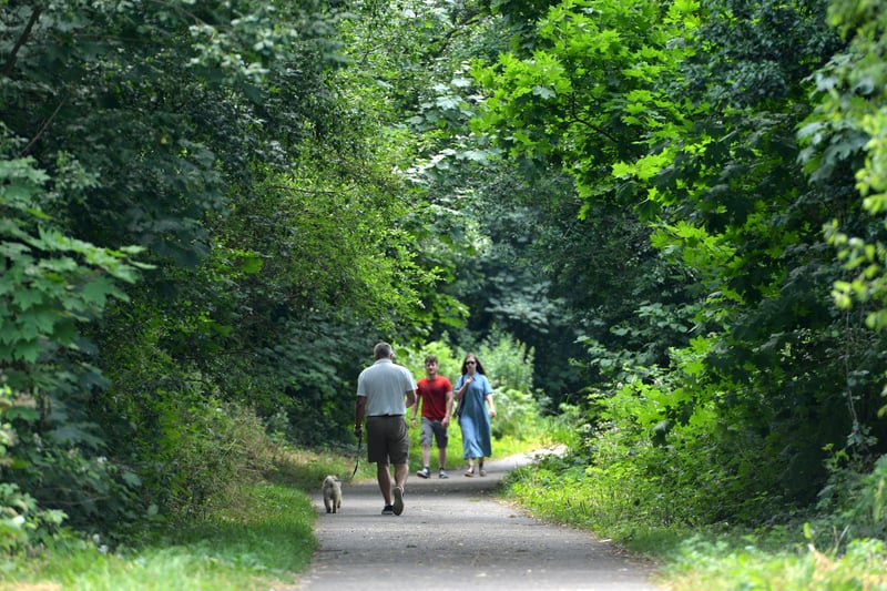 Cuckoo Trail cycle path - dust off your bikes and pick up the trail from Hampden Park, up to Polegate, Hailsham, Horam and Heathfield. Cycle free from traffic on the trail
