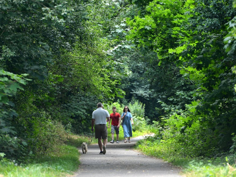 Cuckoo Trail cycle path - dust off your bikes and pick up the trail from Hampden Park, up to Polegate, Hailsham, Horam and Heathfield. Cycle free from traffic on the trail
