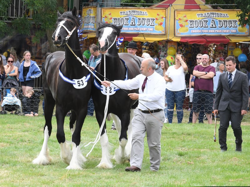 Nigel Blakey of Ruskington with his shire horses, Snelson Fionnuala and Hartcliff Sinitta. EMN-210726-122055001