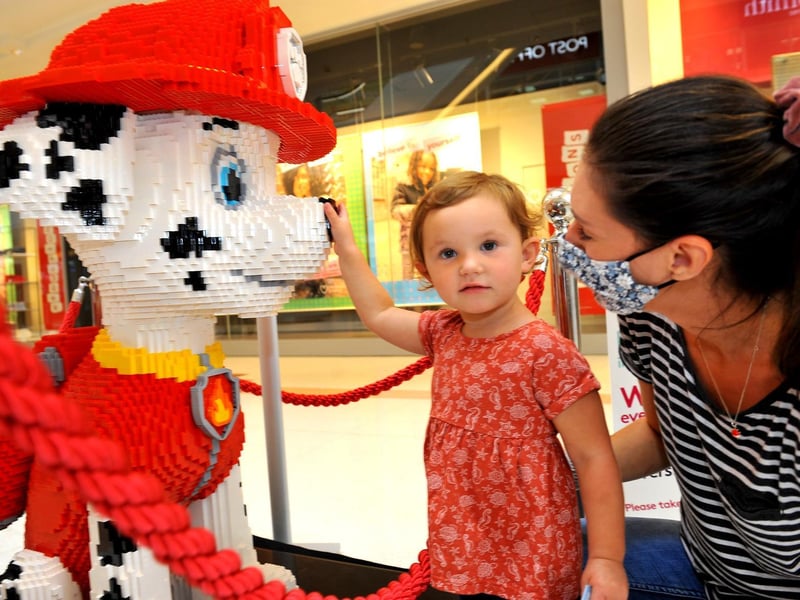 Children will love finding the models