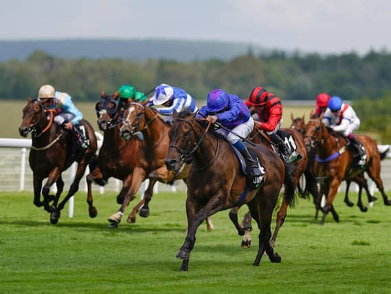 Action from the opening day of the Qatar Goodwood Festival / Picture: Alan Crowhurst, Getty