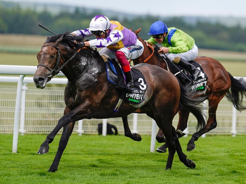 Action on the opening day of the Qatar Goodwood Festival / Picture: Alan Crowhurst, Getty