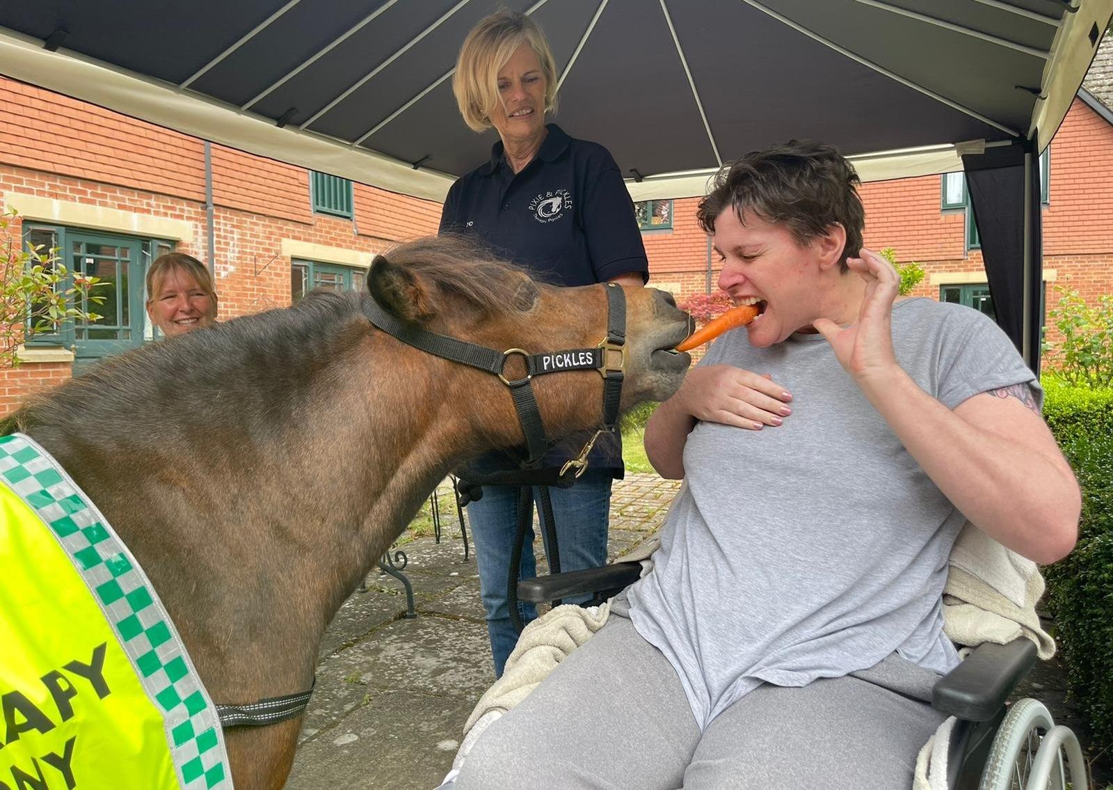 Sarah feeds a carrot to Pickles.