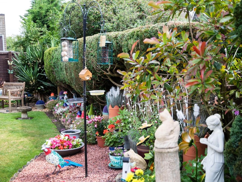 The couple’s garden is immaculate and even includes a summer house that Alan built around 15 years ago.
Carol added: “Gardening is in the family really. It’s a great stress relief and it sends you into a different world.
“The best piece of advice I ever got was: ‘If you see a weed, pick it up and then you’ll never have any weeds’.”
Photo: Kirsty Edmonds.