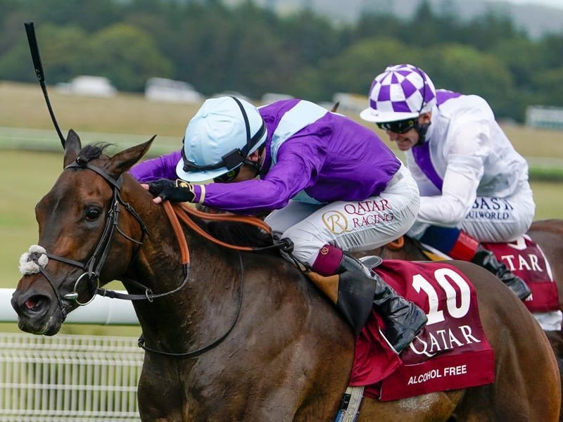 Action from Alcohol Free's win in the Qatar Sussex Stakes / Picture: Alan Crowhurst, Getty