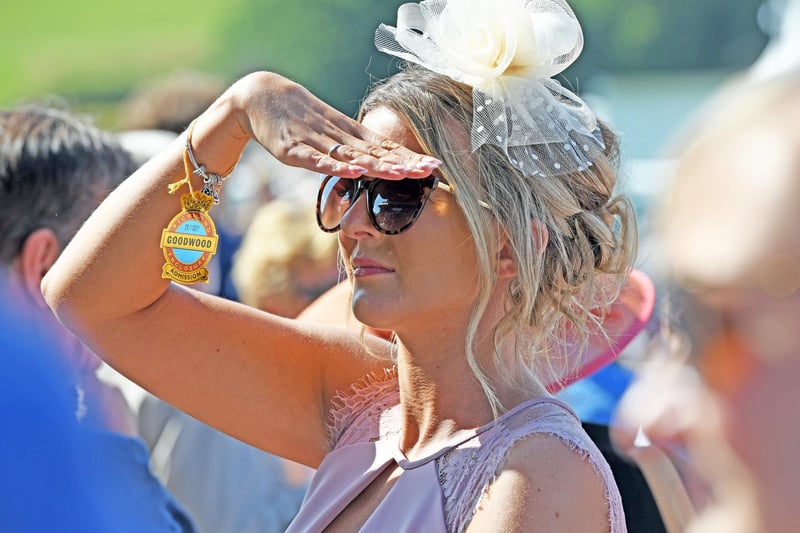 Images from Ladies' Day at Glorious Goodwood / Picture: Malcolm Wells