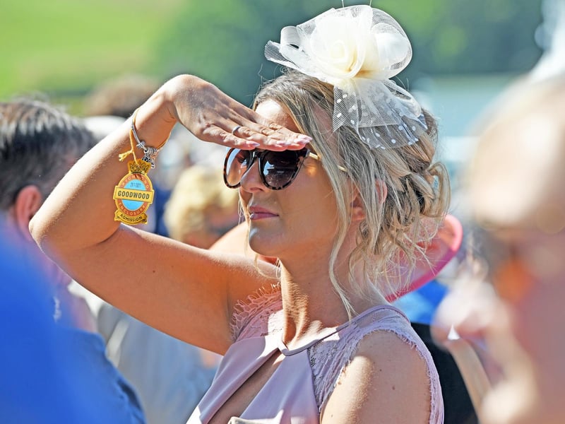 Images from Ladies' Day at Glorious Goodwood / Picture: Malcolm Wells