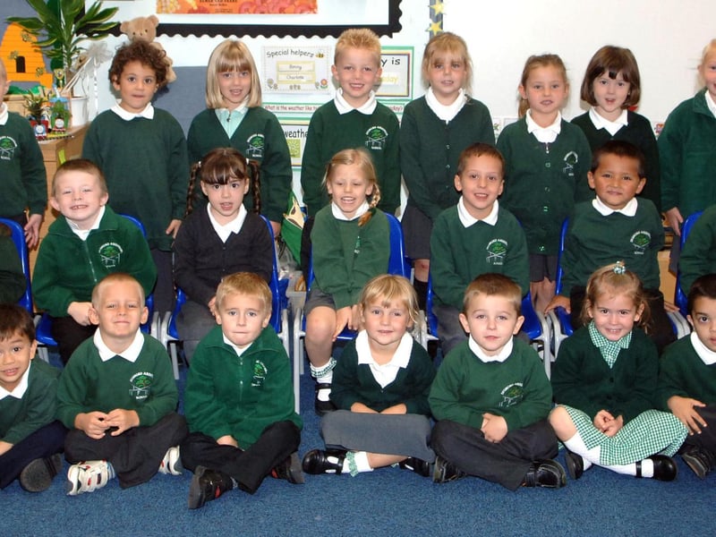 Bumblebee class