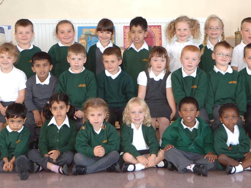 Ladybirds class