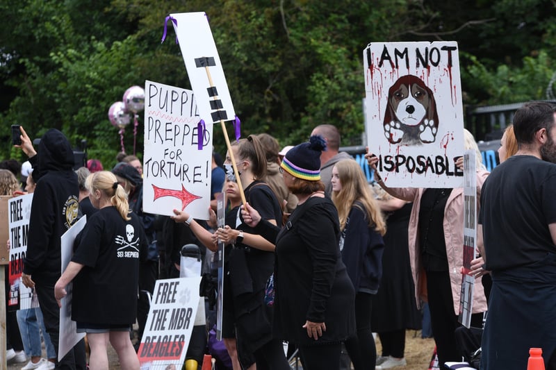 Free the Beagles protest outside MBR Acres in Cambridgeshire.