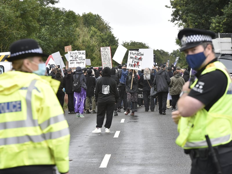 Free the Beagles protest outside MBR Acres in Cambridgeshire.