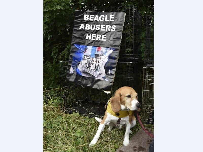 Free the Beagles protest outside MBR Acres in Cambridgeshire.