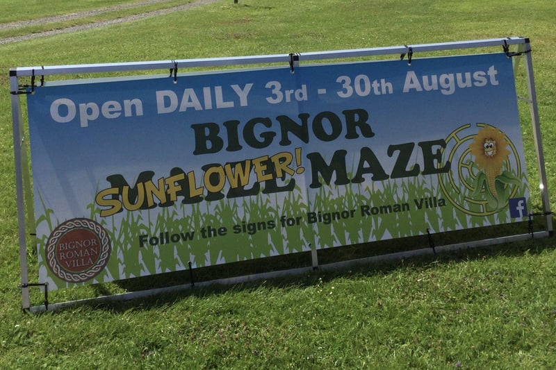 The sunflower maze and picking patch at Bignor Roman Villa near Pulborough is open throughout August SUS-210408-102019001