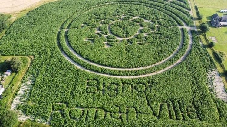 A sunflower maze has been created at Bignor Roman Villa SUS-210408-102040001