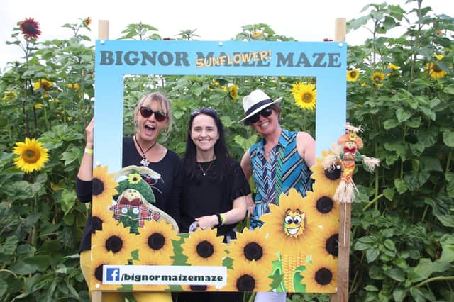 A fun day out at the Bignor Roman Villa's sunflower maze SUS-210408-101957001