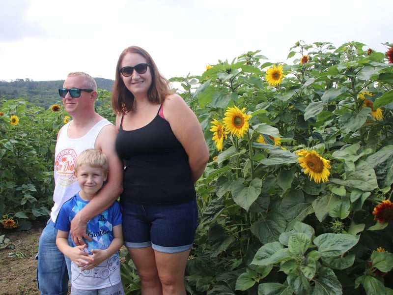 The Skippings family at the sunflower picking patch SUS-210408-102008001