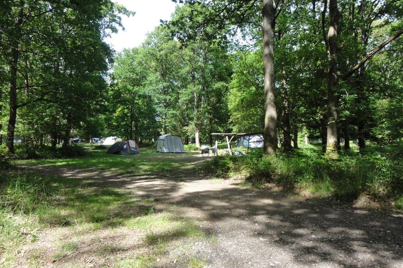 Foxwood Camping at Patching, West Sussex is a beautiful family focused campsite situated at the bottom of an oak forest valley in the South Downs.