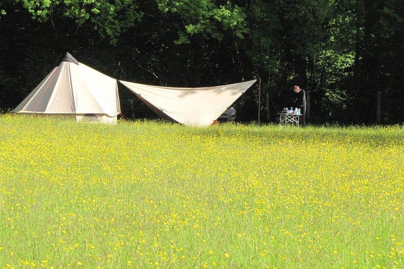 Wimbles Farm at Heathfield, East Sussex offers small and quiet camping and glamping, with private campfire pitches in secluded corners.