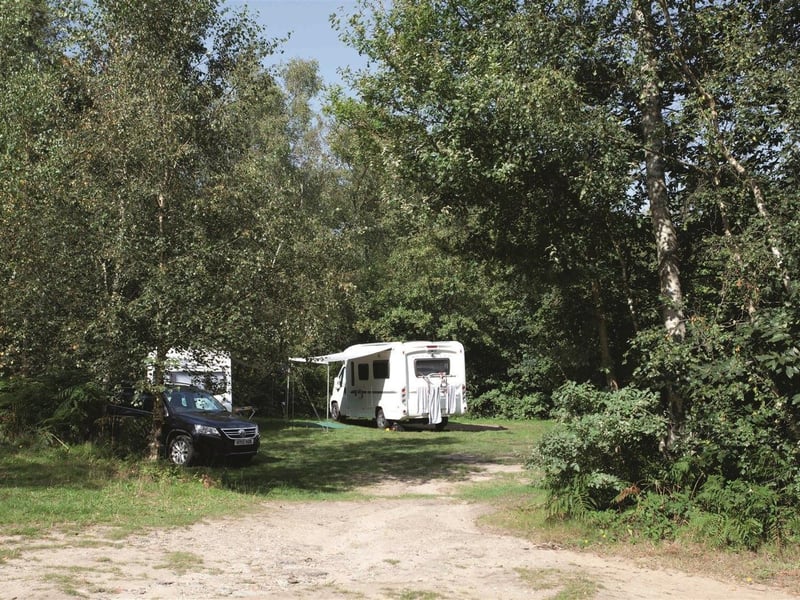 Graffham Camping and Caravanning Club Site in West Sussex is in the heart of the South Downs National Park and has pitches surrounded by trees.