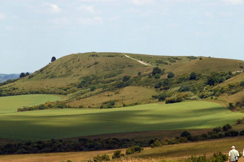 The Ivinghoe and Pitstone Hills are designated as a site of special scientific interest (SSSI) for its very special wildlife. The whole area falls within the Chilterns Area of Outstanding Natural Beauty (AONB)