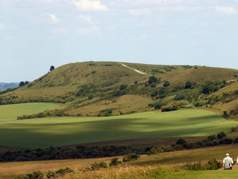 The Ivinghoe and Pitstone Hills are designated as a site of special scientific interest (SSSI) for its very special wildlife. The whole area falls within the Chilterns Area of Outstanding Natural Beauty (AONB)