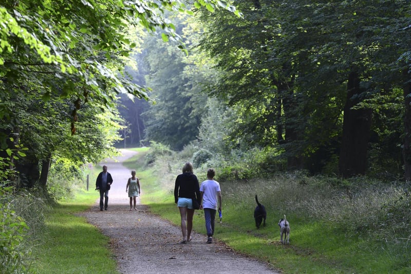 Covering an area of 107 hectares, Tring Park contains a mosaic of habitats such as chalk grassland, scrub, mixed woodland and parkland landscaped by Charles Bridgeman in the late 17th and early 18th centuries.