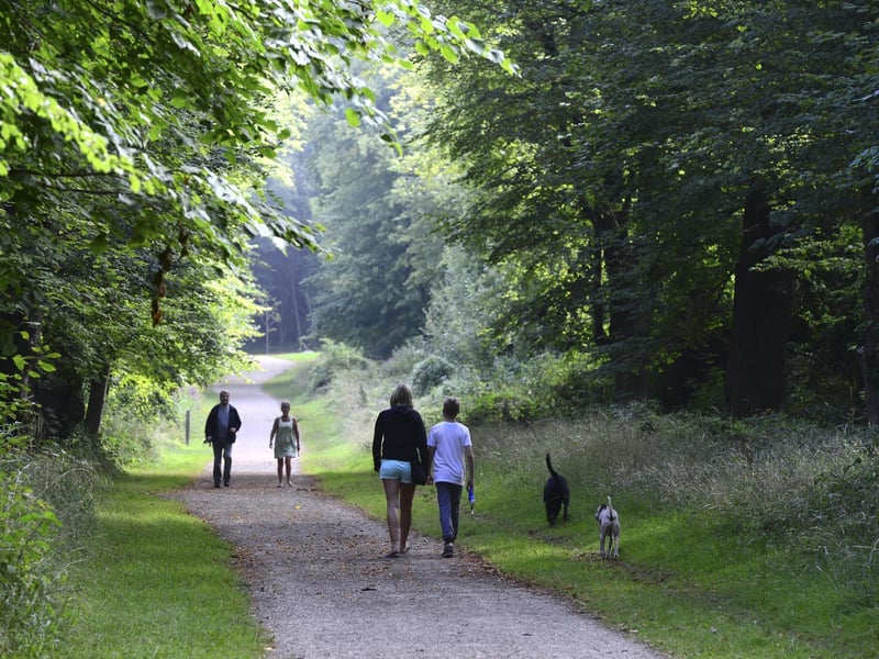 Covering an area of 107 hectares, Tring Park contains a mosaic of habitats such as chalk grassland, scrub, mixed woodland and parkland landscaped by Charles Bridgeman in the late 17th and early 18th centuries.