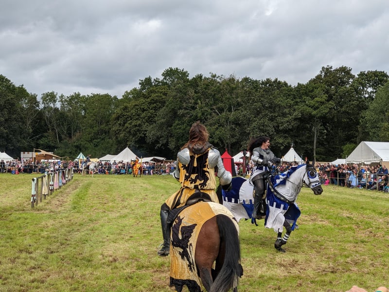 Crowds enjoyed the Loxwood Joust despite the mud