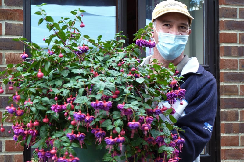 Paul Hutchins with his fuchsia grown from a plug
