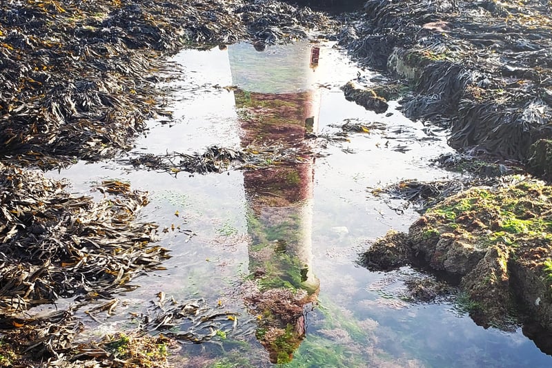 Beachy Head lighthouse reflected in a rockpool at Falling Sands, by Tara White. SUS-211108-120918001