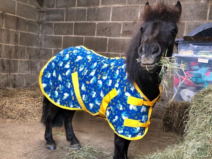 "This is Eric! He scratches his nuts on his hay bales and pulls them apart..." Photo: Lydia Key