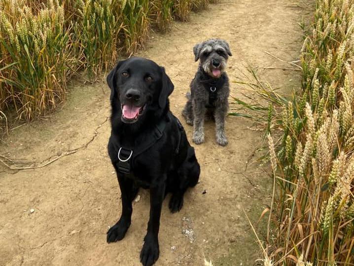 Walter and Boris. Photo: Catherine Anderson