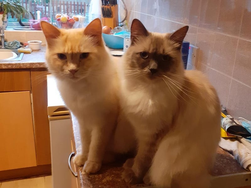 Alan and Roger. Photo: Sarah Fred