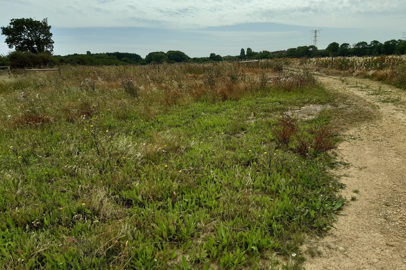 Sompting Brooks Trail were the number of species has grown to 500 since the project started two years ago