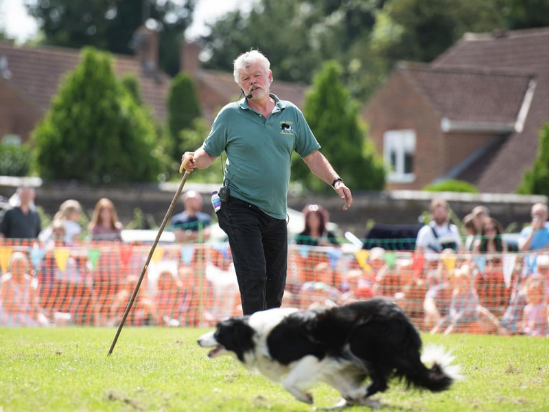 Bob Hogg's Sheep Dog Display in the main ring