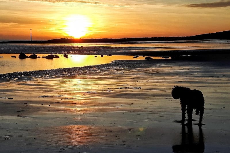 Dawnii Roberts posted this image of Bulverhythe at sunset to our Hastings Observer page