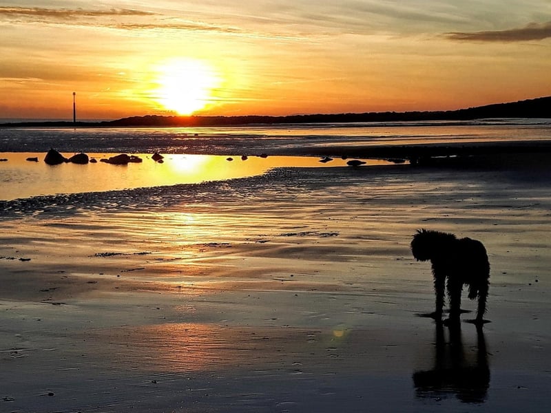 Dawnii Roberts posted this image of Bulverhythe at sunset to our Hastings Observer page
