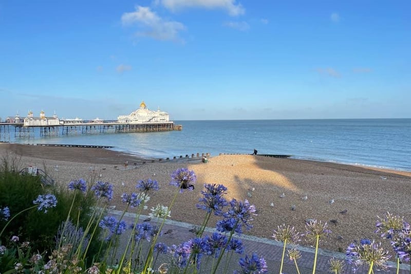 Berenice Pringle posted this image on our Eastbourne Herald page with the message: 'Taken by me last week. A little early evening sunshine on the seafront.'