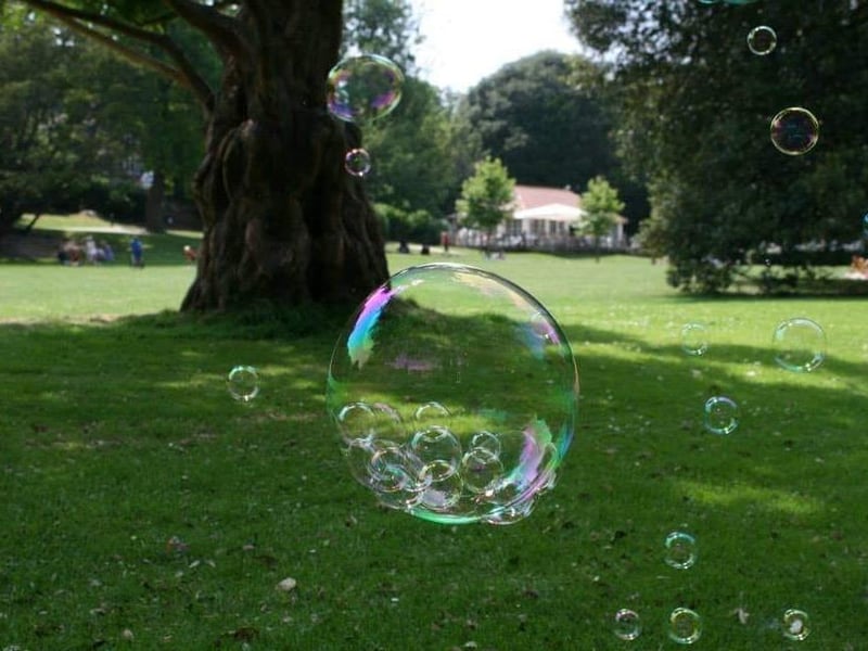 Naomi Devida May Smith posted this image on our Hastings Observer page with the message: 'Bubbles in Alexandra Park, Hastings.'