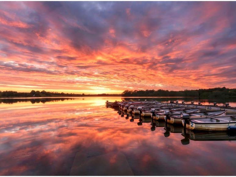 Photo by Carl Everitt
